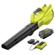 RYOBI 40V 120 MPH 550 CFM Cordless Battery Blower and Lawn and leaf bag with 4.0 Ah Battery and Charger RY40LB01K-AC04313