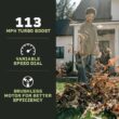Green Machine 62-Volt 113 MPH 600 CFM Battery Lithium-Ion Brushless Cordless Handheld Leaf Blower GMLB6202-TO