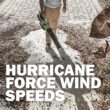 Green Machine 62-Volt 113 MPH 600 CFM Battery Lithium-Ion Brushless Cordless Handheld Leaf Blower GMLB6202-TO