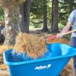 Jackson 6 cu. ft. Steel Wheelbarrow M6KBUT12