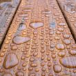 DEFY Extreme Wood Stain and Sealer in One - 5 Gallon Semi-Transparent Waterproof Coating for All Wood Types - Cedar Tone