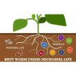 Brut Worm Farms Organic Worm Castings Soil Builder, 30 lbs. Bag (6-Pack) 6 x IC-PNPE-MSK3 Brut Worm Farms Organic Worm Castings Soil Builder, 30 lbs. Bag (6-Pack) 6 x IC-PNPE-MSK3