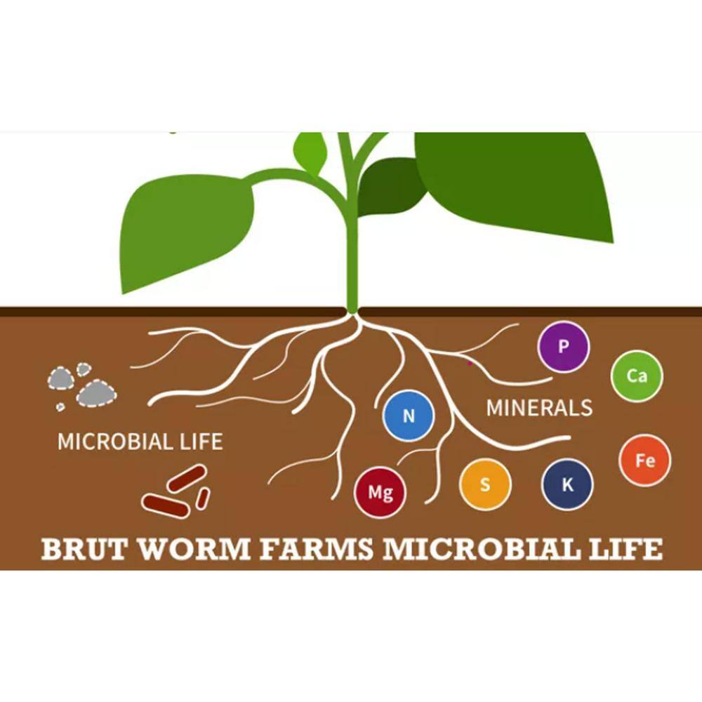 Brut Worm Farms Organic Worm Castings Soil Builder, 30 lbs. Bag (6-Pack) 6 x IC-PNPE-MSK3 Brut Worm Farms Organic Worm Castings Soil Builder, 30 lbs. Bag (6-Pack) 6 x IC-PNPE-MSK3