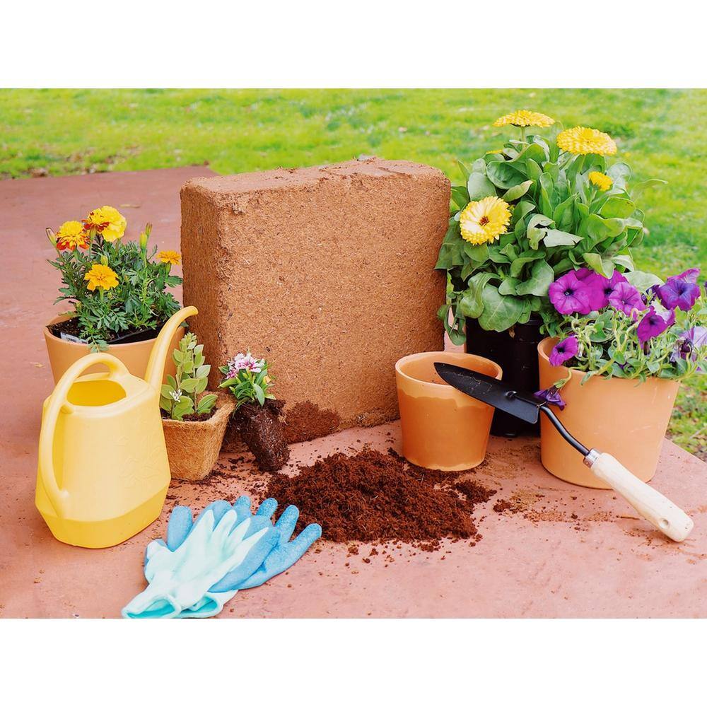 Envelor 10 lbs. Organic Coco Block Coir Brick Potting Soil (4-Pack) EN-CGM-11-4 Envelor 10 lbs. Organic Coco Block Coir Brick Potting Soil (4-Pack) EN-CGM-11-4