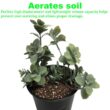 Viagrow 4 cu. ft. of Perlite (2-Pack) VPER4-2