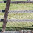 Fencer Wire 6 ft. x 100 ft. 12.5-Gauge Welded Wire Fence with Mesh 2 in. x 4 in. WB125-6X100M24