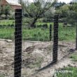 Fencer Wire 6 ft. x 100 ft. 12.5-Gauge Welded Wire Fence with Mesh 2 in. x 4 in. WB125-6X100M24