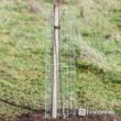 Fencer Wire 6 ft. x 100 ft. 12.5-Gauge Welded Wire Fence with Mesh 2 in. x 4 in. WB125-6X100M24