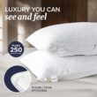 Beckham Hotel Collection Bed Pillows Standard/Queen Size Set of 2 - Original Down Alternative Pillow for Sleeping Beckham Hotel Collection Bed Pillows Standard/Queen Size Set of 2 - Original Down Alternative Pillow for Sleeping