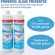 Doheny's Algaecide 60, Pro-Grade, Metal-Free & Non-Foaming, Prevents All Algae Types, No Stains or Clouding, 4 x 40oz (160oz)