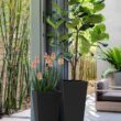 Veradek V-Resin Indoor/Outdoor Taper Planter (Black, 30 inch - 2 Pack with 2 Saucer Trays)