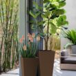 Veradek V-Resin Indoor/Outdoor Taper Planter (Espresso, 30 inch - 2 Pack with 2 Saucer Trays)
