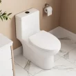 DeerValley White/Black Ally Dual-Flush Elongated One-Piece Toilet, 12