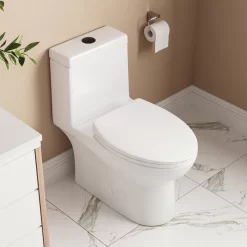 DeerValley White/Black Ally Dual-Flush Elongated One-Piece Toilet, 12" (Seat Included)