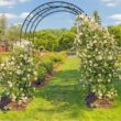 Karl home 84 in. x 59 in. Iron Garden Arbor
