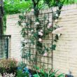 Tunearary 7.2 ft. Black Outdoor Metal Rustproof Garden Trellis, (2-Pack)