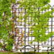 Tunearary 7.2 ft. Black Outdoor Metal Rustproof Garden Trellis, (2-Pack)