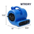 B-Air 1/4 HP Air Mover Blower Fan for Water Damage Restoration Carpet Dryer Floor Home and Plumbing Use in Blue