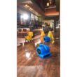 B-Air 1/4 HP Air Mover Blower Fan for Water Damage Restoration Carpet Dryer Floor Home and Plumbing Use in Blue