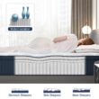 Avenco 12 in. Medium Firm Hybrid Pillow Top Motion Isolation Individual Pocket Spring Full Mattress