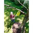 RYOBI ONE+ 18V Cordless Pole Lopper with 2.0 Ah Battery and Charger RYOBI ONE+ 18V Cordless Pole Lopper with 2.0 Ah Battery and Charger