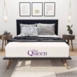 NapQueen Elizabeth Twin XL Medium Gel Memory Foam 6 in. Mattress
