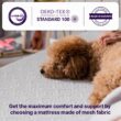 NapQueen Elizabeth Twin XL Medium Gel Memory Foam 6 in. Mattress NapQueen Elizabeth Twin XL Medium Gel Memory Foam 6 in. Mattress