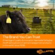 Gallagher Smart Fence 2 | Portable Fence for Containing Animals, Temporary Field Fencing, Quick and Easy Install, Safe and Versatile | 328ft of 4-Strand Electric Fencing