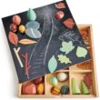 Tender Leaf Toys My Forest Floor - Wooden Open-Ended Tinker Tray Creative Play Box with Removable Compartments - Montessori Toy for Imaginative Play - Age 3+