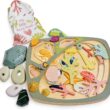 Tender Leaf Toys - My Little Rock Pool - 35 Piece Wooden Sea Life Set with Illustrated Drawstring Bag - Educational Play toy, Improve Fine Motor Skills, Shape Sorting Play for Boys and Girls - Age 3 +