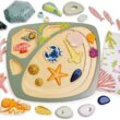 Tender Leaf Toys - My Little Rock Pool - 35 Piece Wooden Sea Life Set with Illustrated Drawstring Bag - Educational Play toy, Improve Fine Motor Skills, Shape Sorting Play for Boys and Girls - Age 3 +