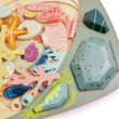 Tender Leaf Toys - My Little Rock Pool - 35 Piece Wooden Sea Life Set with Illustrated Drawstring Bag - Educational Play toy, Improve Fine Motor Skills, Shape Sorting Play for Boys and Girls - Age 3 +