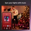 Philips Hue Indoor/Outdoor Holiday 65-Foot Festavia String Lights - 250 Mini Color Changing Smart LEDs - Weatherproof - Control with Hue App - Works with Alexa, Google Assistant and Apple HomeKit