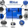 Blue Coolers Ice Vault – 60 Quart Roto-Molded Ice Cooler (Large Ice Chest Holds Ice up to 10 Days)