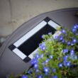 RTS Home Accents 35 Gal. Rain Barrel with Planter Woodgrain with Black Stripes Colour with Brass Spigot 55130002005681