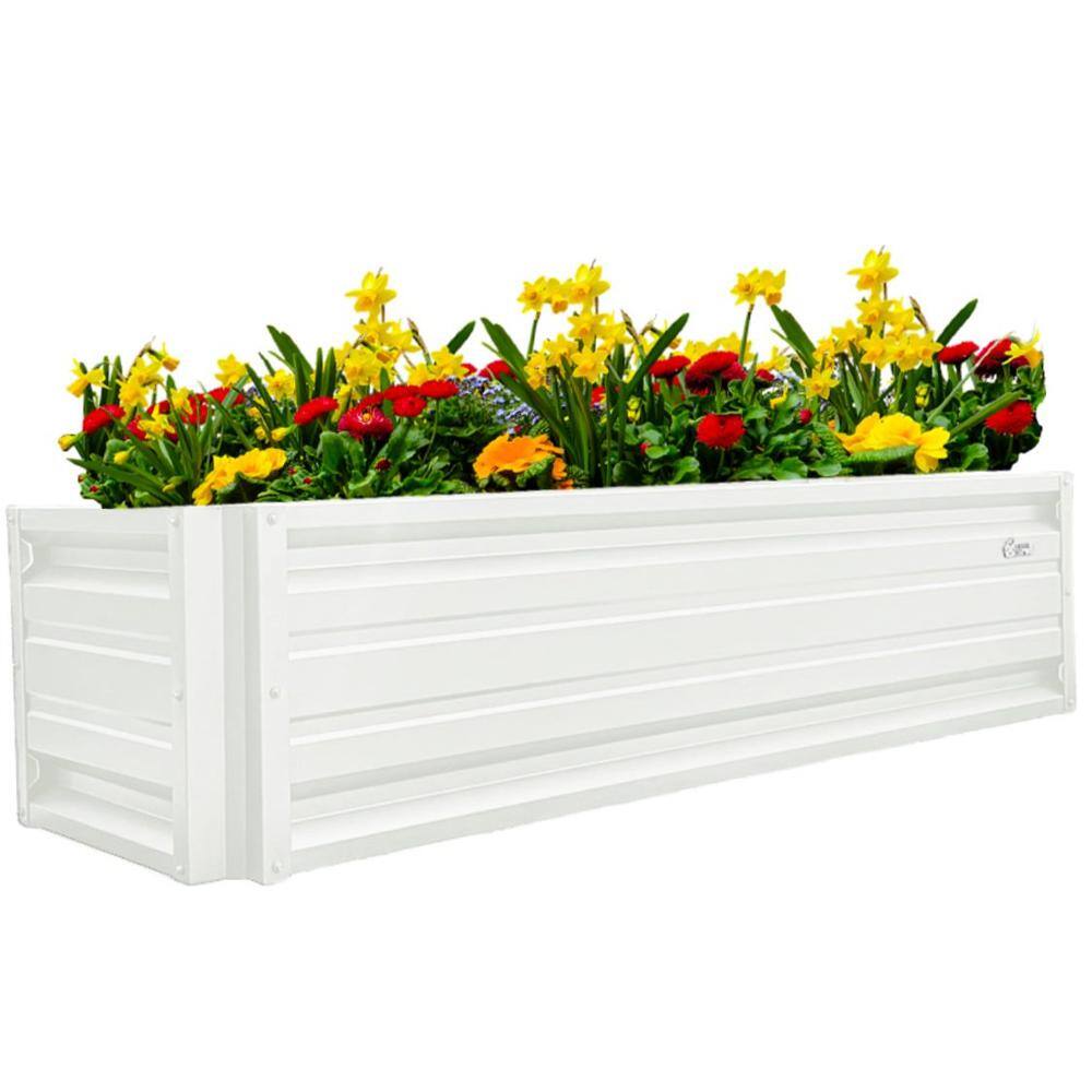 ALL METAL WORKS 24 inch by 72 inch Rectangle Brilliant White Metal Planter Box PTTM2X6X18-BRILLIANTWHITE