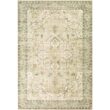 Livabliss Ottawa Sage/Cream 8 ft. x 10 ft. Indoor Area Rug S00161038387