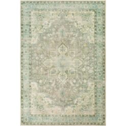 Livabliss Ottawa Sage/Aqua 8 ft. x 10 ft. Indoor Area Rug S00161038381