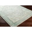 Livabliss Ottawa Sage/Aqua 8 ft. x 10 ft. Indoor Area Rug S00161038381