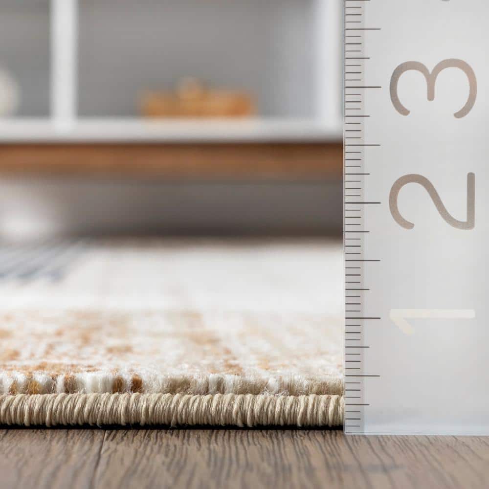 nuLOOM Vanita Transitional Southwestern Fringe Beige 8 ft. x 10 ft. Living Room/Bedroom/Dining Room Area Rug BDSN34A-80106 nuLOOM Vanita Transitional Southwestern Fringe Beige 8 ft. x 10 ft. Living Room/Bedroom/Dining Room Area Rug BDSN34A-80106