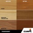 Olympic WaterGuard 5 gal. Acorn Brown Transparent Exterior Wood Stain and Sealer 55163-05
