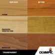 Olympic Waterguard 5 gal. Clear Wood Sealer 55260XI-05