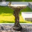 Watnature Concrete Outdoor Birdbaths -25.5 in. H Woodland Tree Trunk Yard Statue Decoration Birdbath Bird Figurines for Garden 30027