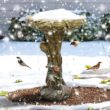 Watnature Concrete Outdoor Birdbaths -25.5 in. H Woodland Tree Trunk Yard Statue Decoration Birdbath Bird Figurines for Garden 30027