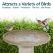 Sunnydaze Duo-Tone Yam Glazed Ceramic Outdoor Bird Bath, UV/Frost Resistant AP-367