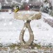 Watnature Concrete Birdbaths for Garden Clearance -21.8 in. Modern Bird Bath Outside, Yard Statue for Garden, Patio, Yard, Lawn 30047