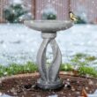Watnature 21.8 in. H Outdoor Birdbath for Garden -Concrete Modern Freestanding Patio Bird Bath, Yard Statue Garden, Patio, Lawn 30046