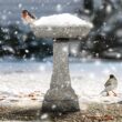 Watnature 22. 8 in. H Freestanding Outdoor Birdbaths with Pedestal for Patio, Backyard, Lawn Decor and Bird Bathing and Feeding 30012