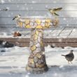 Watnature 24 in. H Concrete Outdoor Birdbath Stone Like Freestanding Garden Birdbath with Pedestal for Outdoors, Patio, Yard, Lawn 30043