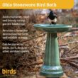 BIRDS choice Ohio Stoneware Birdbath in Gray OS-GRAY